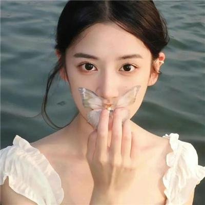 飞行之翼